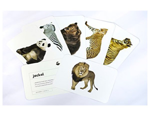 TD0263 - Wild Animals